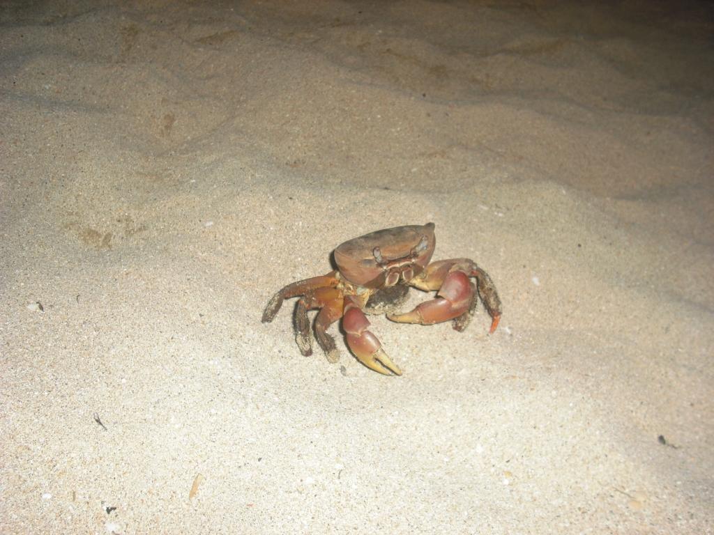 Nosy b, piccola isola del Madagascar